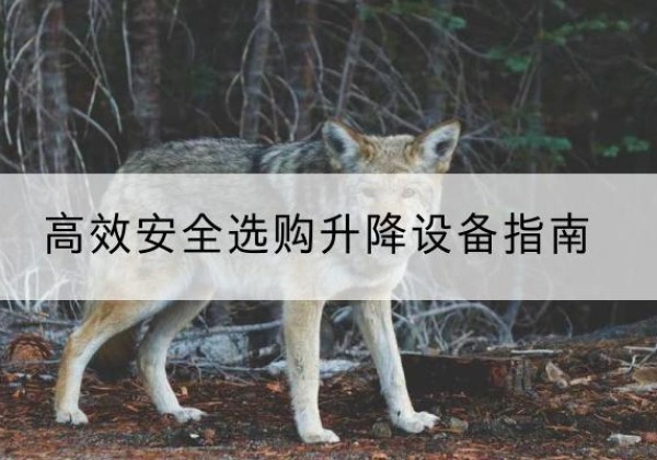 永新升降货梯厂家推荐-*安全选购升降设备指南