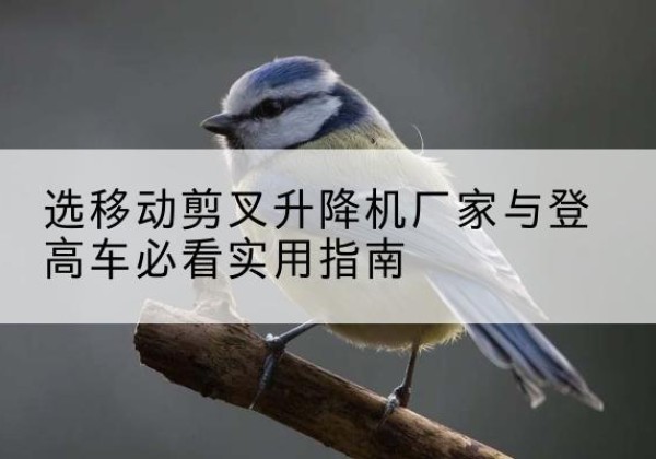 永新电动升降机厂家-选移动剪叉升降机厂家与登高车必看实用指南